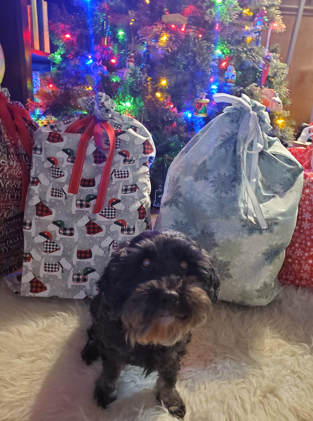 Santa Sack Gift Bag - Sugar